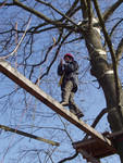 Ein Mann mit rotem Helm und Klettergurt balanciert, gut abgesichert mit Halteseilen auf einem Balken.